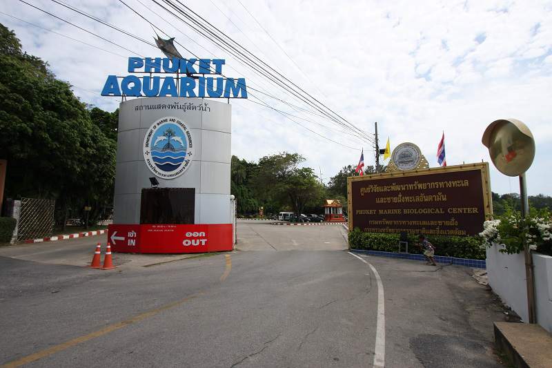 Que faire à Phuket - Aquarium
