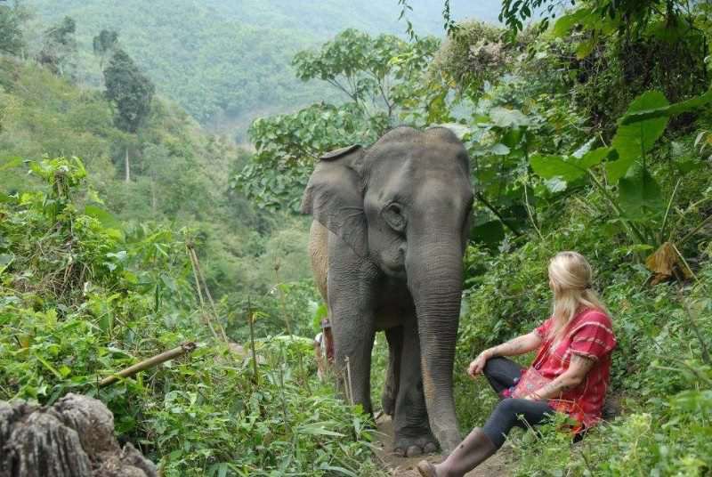 Stage Humanitaire en Thaïlande