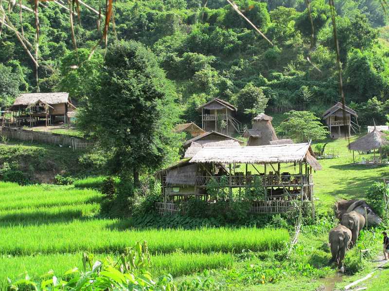 Stage Humanitaire en Thaïlande