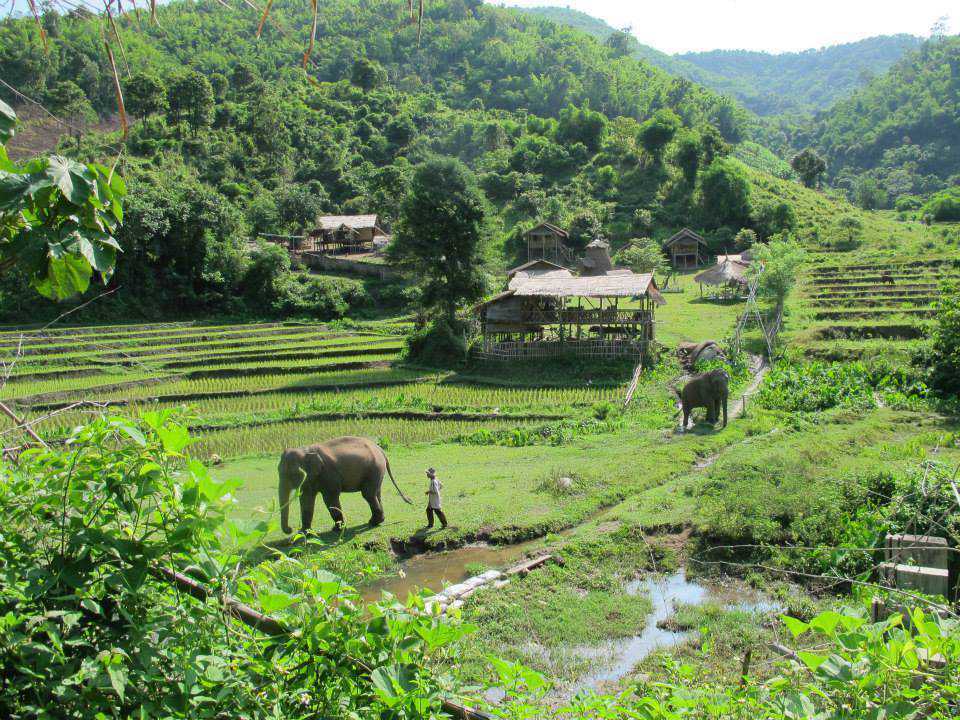 Stage Humanitaire en Thaïlande